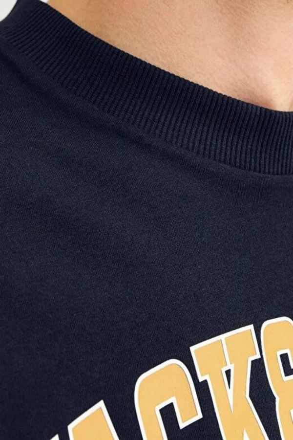 Resim Jack & Jones Jjecaleb Varsıty Tee Ss O-Neck Noos Erkek T-shirt 12257579