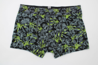 Resim Yenikoza Erkek Boxer