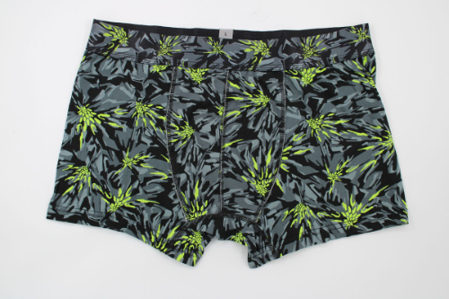 Resim Yenikoza Erkek Boxer