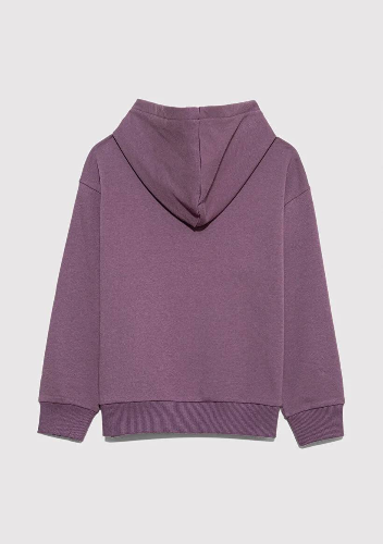 Resim Mavi Logo Baskılı Kapşonlu Erkek Çocuk Sweat M6S10143-70656