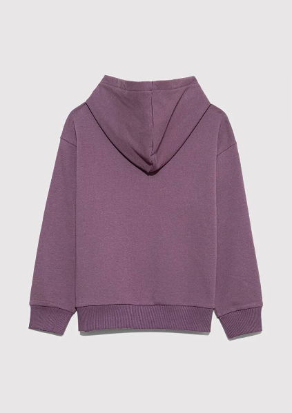 Resim Mavi Logo Baskılı Kapşonlu Erkek Çocuk Sweat M6S10143-70656