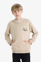 Resim Defacto Erkek Çocuk  Sweat E9582A8/BG737