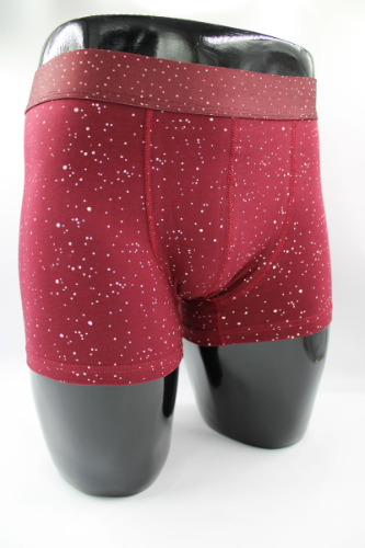 Resim Yenikoza Erkek Boxer