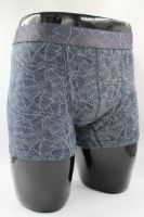 Resim Yenikoza Erkek Boxer