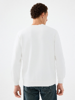 Resim Loft Erkek Sweat Lf2041076