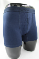 Resim Yenikoza Erkek Boxer