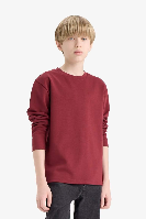 Resim Defacto Erkek Çocuk Sweat E9661A8/BR194