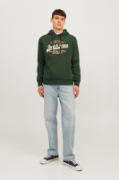 Resim Jack & Jones Jjelogo Sweat Hood 2 Col 24/25 Noos Erkek Sweat 12255617
