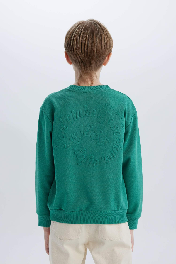 Resim Defacto Erkek Çocuk  Sweat D7711A8/GN763