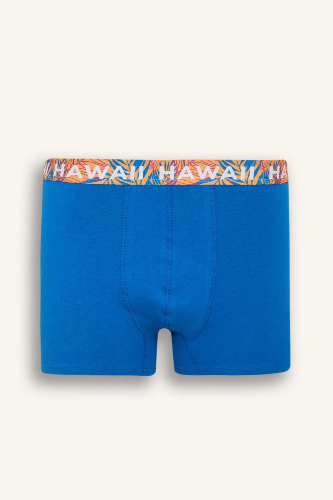 Resim Defacto Erkek Boxer&Külot D9874AX/NV135