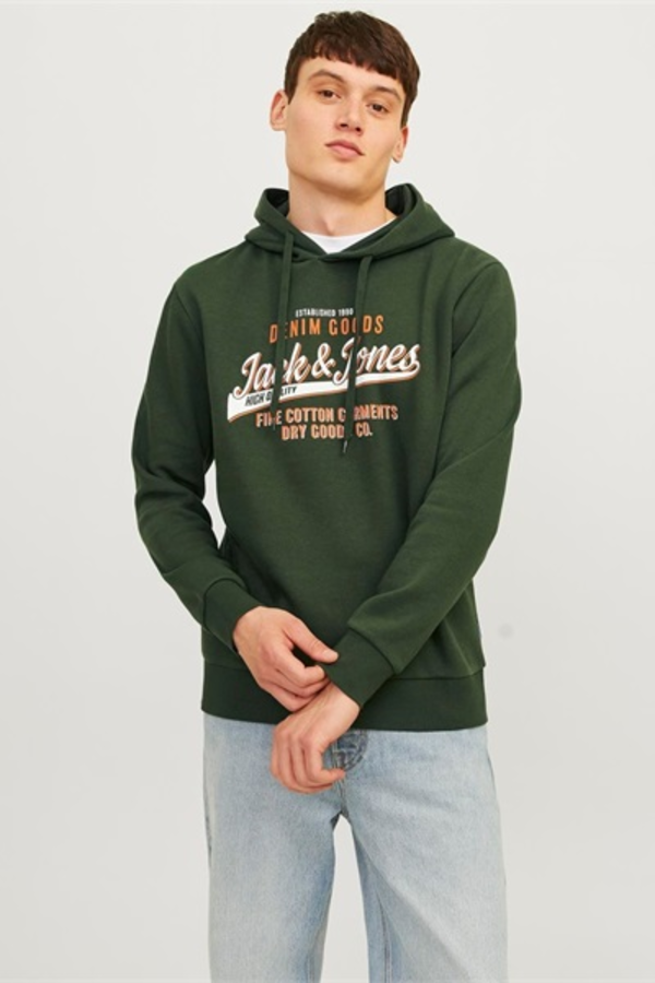 Resim Jack & Jones Jjelogo Sweat Hood 2 Col 24/25 Noos Erkek Sweat 12255617