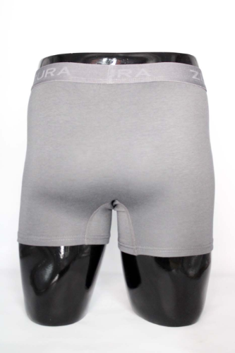 Resim Yenikoza Erkek Boxer