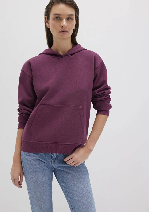 Resim Mavi Kapüşonlu Kadın Sweatshirt M167299-70670