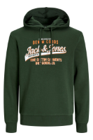 Resim Jack & Jones Jjelogo Sweat Hood 2 Col 24/25 Noos Erkek Sweat 12255617
