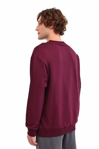 Resim Lumberjack Erkek Sweat A102024367 5W Mb Sn75 C Neck Sw 5Pr