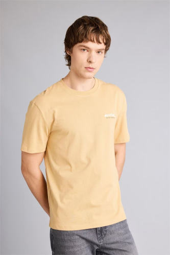 Resim Defacto Erkek T-shirt F9761AX/BG247