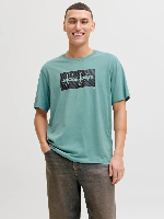 Resim Jack & Jones Jjcole Prınt Tee Ss Crew Neck Ln Erkek T-Shirt 12288492