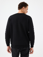 Resim Loft Erkek Sweat Lf2041074