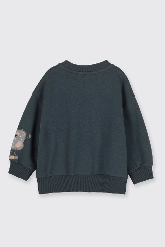 Resim Yenikoza Erkek Çocuk Sweat