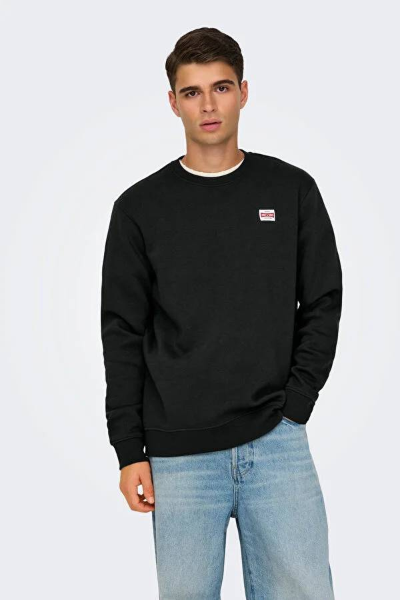 Resim Only & Sons Onsdawson Reg Crew Vd Erkek Sweat 22033193