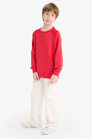 Resim Defacto Erkek Çocuk  Sweat E8415A8/RD282