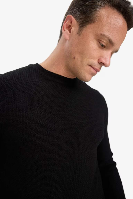 Resim Defacto Erkek  Kazak F1777AX/BK81