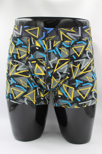 Resim Yenikoza Erkek Boxer