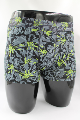 Resim Yenikoza Erkek Boxer