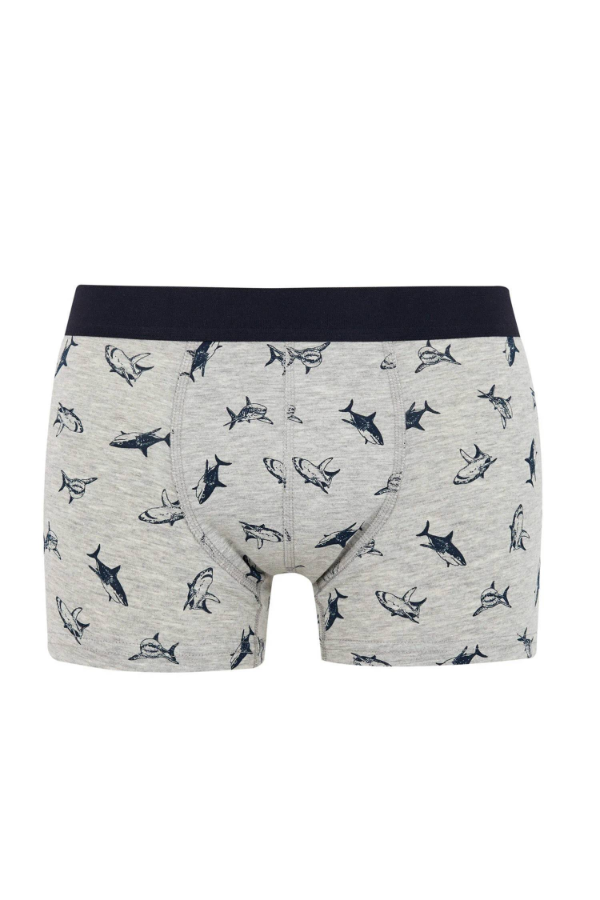 Resim Defacto Erkek Boxer