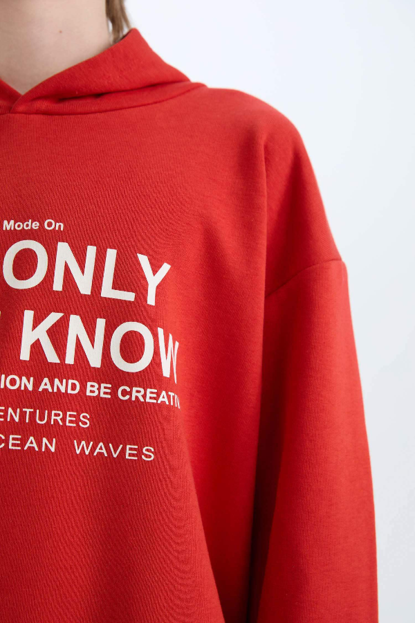 Resim Defacto Erkek Çocuk  Sweat D7399A8/RD65