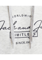 Resim Jack & Jones Jjferrıs Sweat Hood Erkek Sweat 12256838