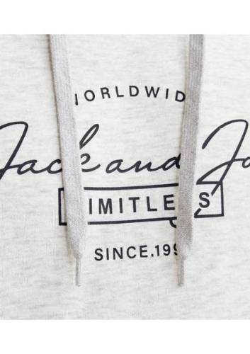 Resim Jack & Jones Jjferrıs Sweat Hood Erkek Sweat 12256838