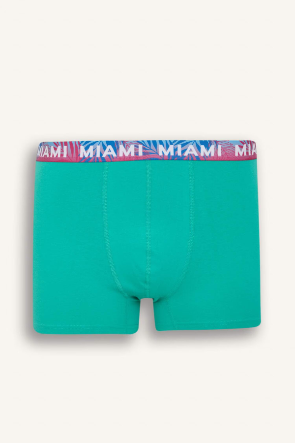 Resim Defacto Erkek Boxer&Külot D9874AX/NV135