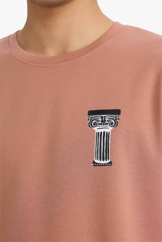 Resim Defacto Erkek T-shirt F9682AX/BR496