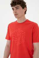 Resim U.S. Polo Assn. Erkek T-Shirt 2107294 Gaston