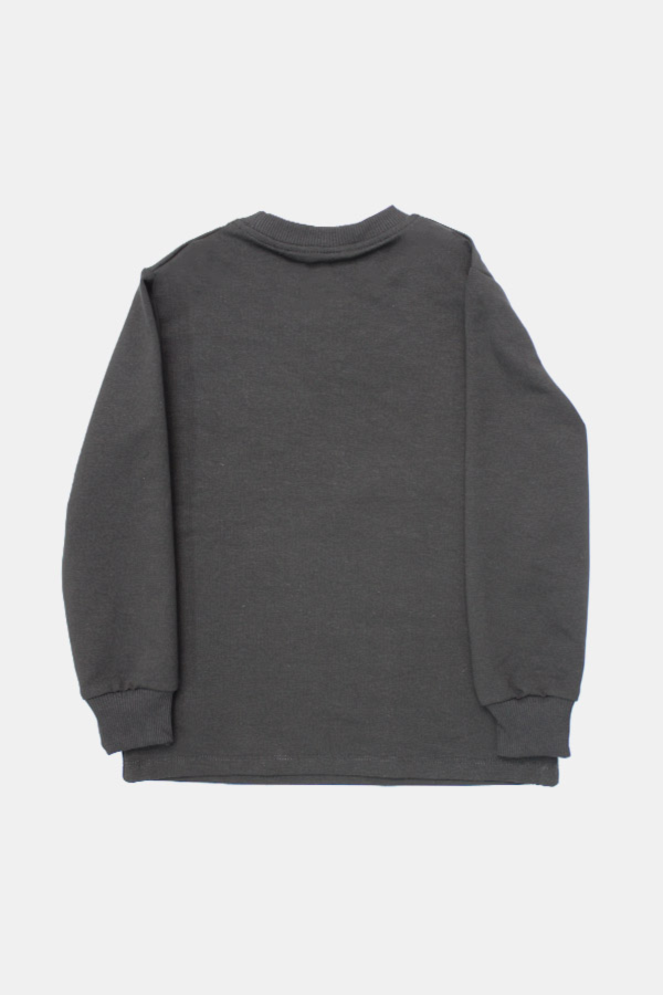 Resim Yenikoza Erkek Çocuk Sweat