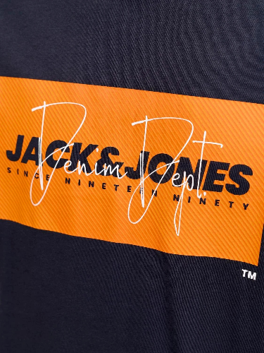 Resim Jack & Jones Jjcole Prınt Tee Ss Crew Neck Ln Erkek T-Shirt 12288492