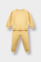 Resim Defacto Kız Bebek Eşofman Takım E8360A5/YL495