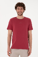 Resim 2107313 Lenhar Us Polo Assn Erkek T-Shirt