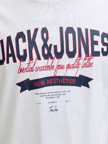 Resim Jack & Jones Jjelogo Tee Ss O-Neck 2 Col Ss26 Sn Erkek T-shirt 12288016