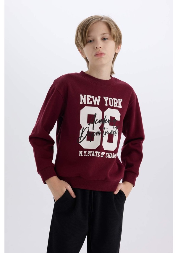 Resim Defacto Erkek Çocuk  Sweat Takım E1935A8/BR115