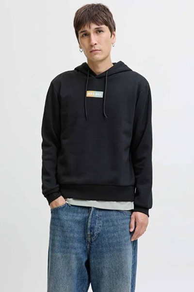 Resim Jack & Jones Jjpan Sweat Hood Erkek Sweat 12278618