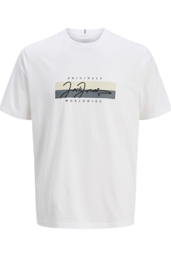 Resim Jack & Jones Jorfrederıksberg Box Scrıpt Tee Ss Cn Sn Erkek T-shirt 12278266