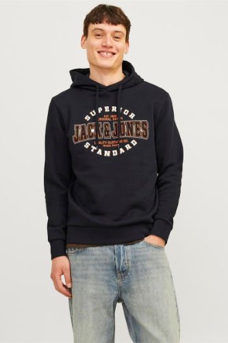 Resim Jack & Jones Jjelogo Sweat Hood 2 Col 24/25 Noos Erkek Sweat 12255617