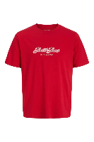 Resim Jack & Jones Jorcatskılls Tee Ss Cn Fst Erkek T-Shirt 12297893