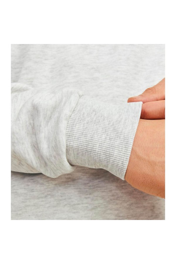Resim Jack & Jones Jjferrıs Sweat Hood Erkek Sweat 12256838