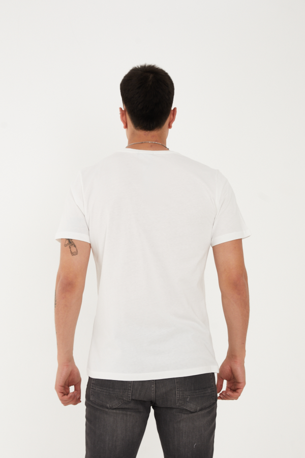 Resim Paul&More T-002 Florida Erkek T-Shirt