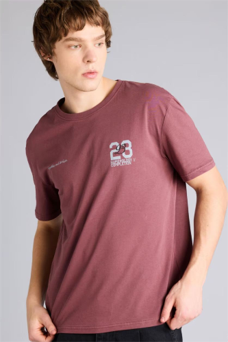 Resim Defacto Erkek T-shirt G3214AX/BR494