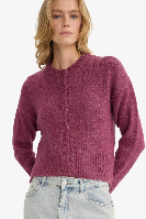 Resim Defacto Kadın  Hırka F3031AX/PR160