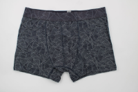 Resim Yenikoza Erkek Boxer